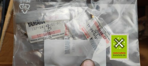 IMG_20230828_105222